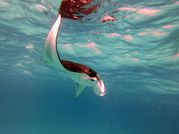 2023 - 07 - Sandies Bathala - 245